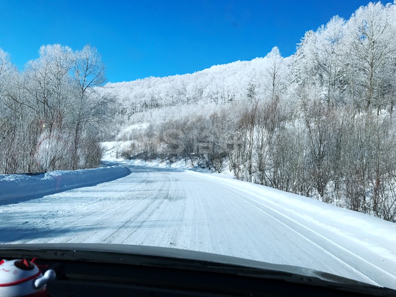 2018年的第一場(chǎng)雪，在北國(guó)雪山的恰好時(shí)綠卻生機(jī)盎然！